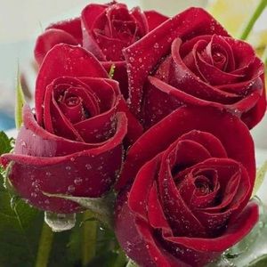 Meet your Posher, Denise